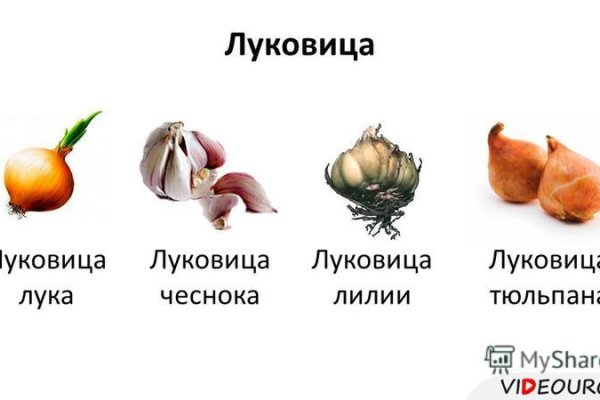Кракен шеринг