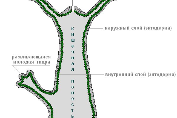 Kraken place